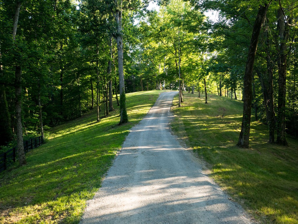 3809 Boston Theta Road Columbia, TN 38401 - Photo 67 of 74
