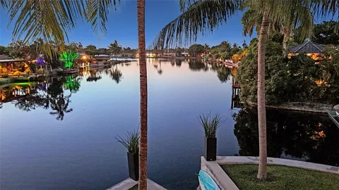 a view of a backyard with plants