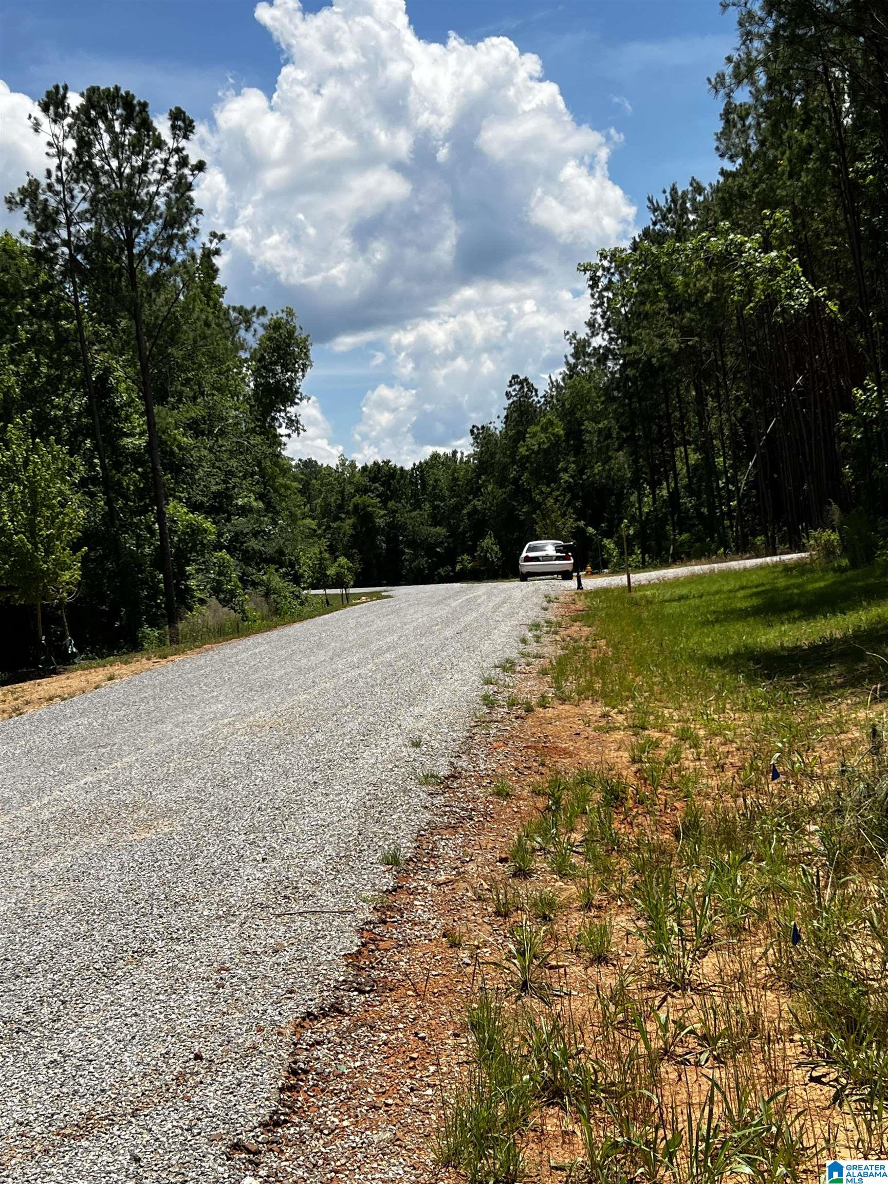 0 Daybreak Curve, Unit 5 Rockford, AL 35136 - Photo 5 of 10