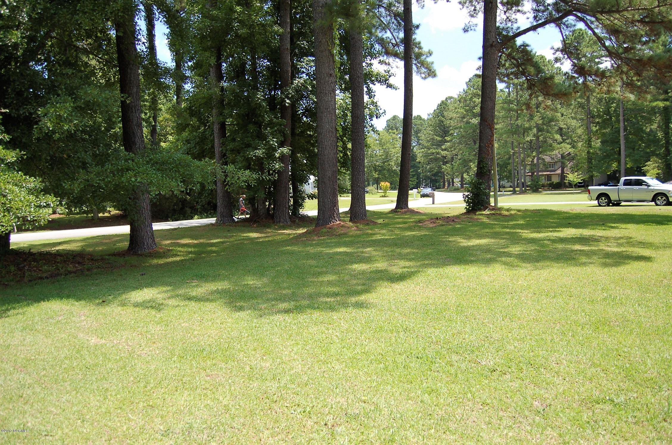 706 Stately Pines Road New Bern, NC 28560 - Photo 3 of 28 Lots of room to play or relax