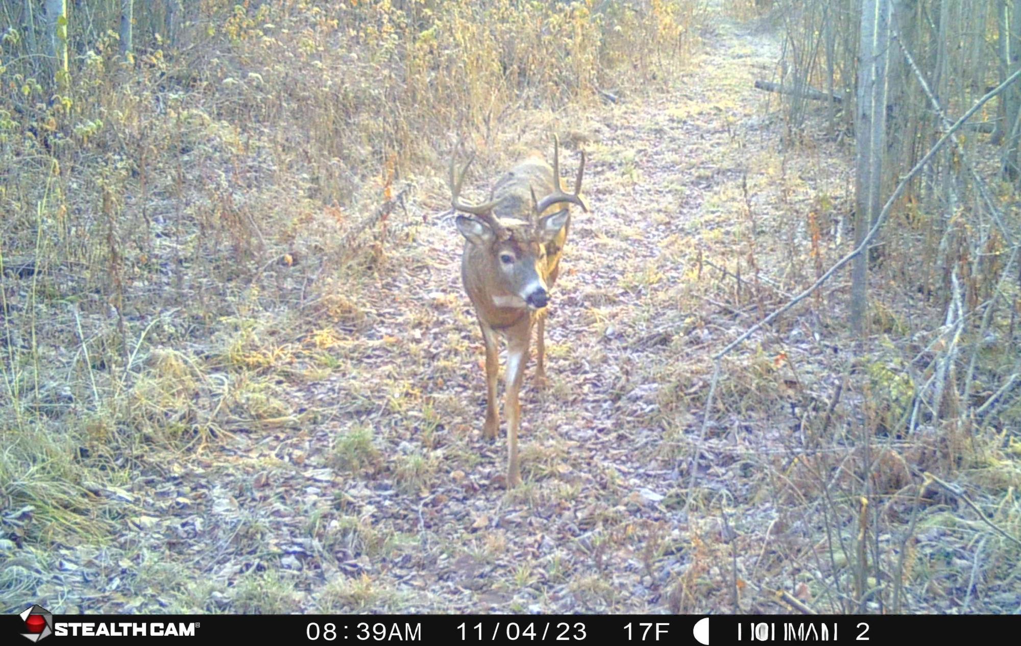 W181 Midway Road Hawkins, WI 54530 - Photo 28 of 56 Gallery Image 28