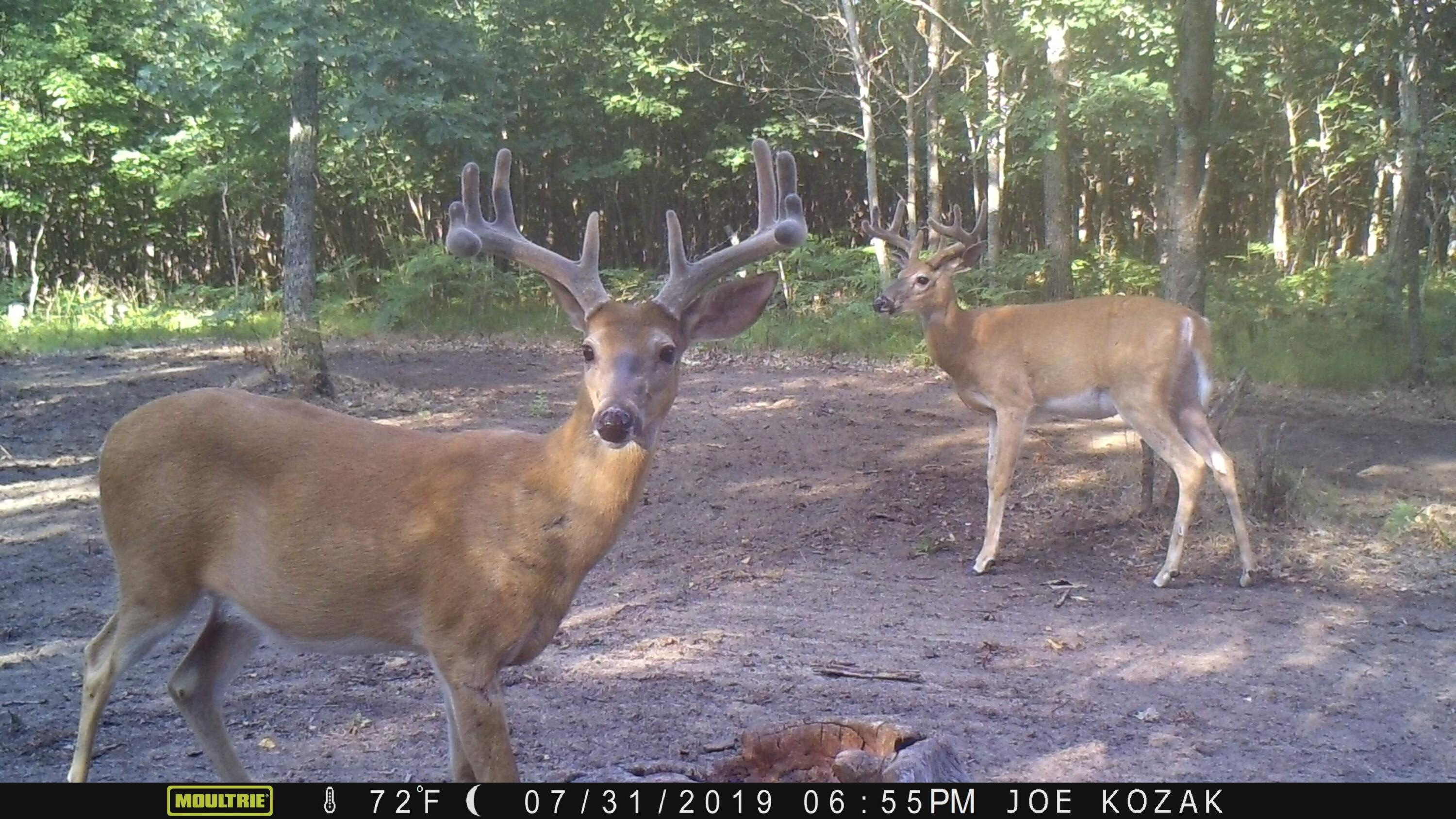 7 West Mile Road Irons, MI 49644 - Photo 37 of 49 MFDC1279