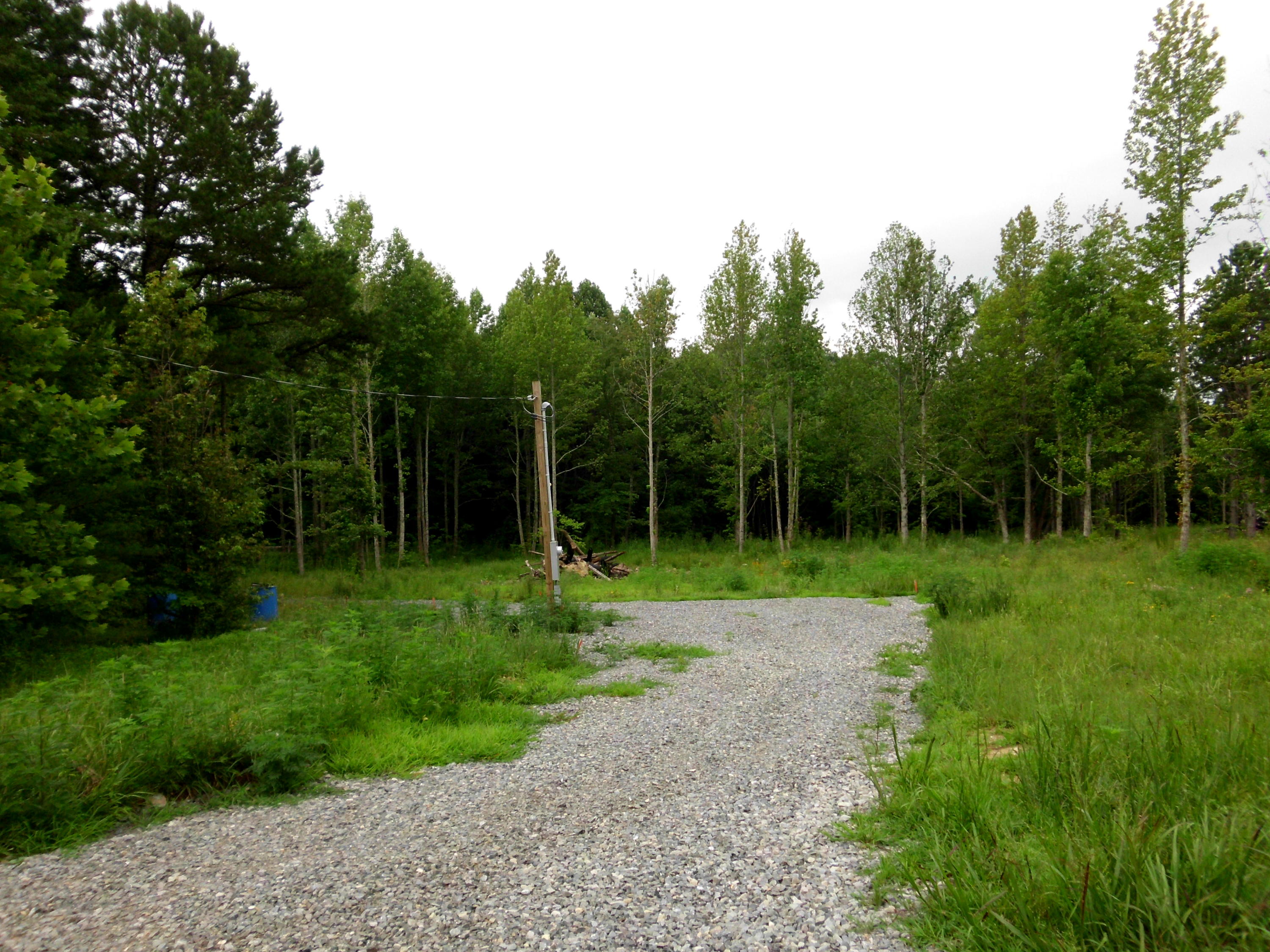 2546 Smithfield Road Tellico Plains, TN 37385 - Photo 1 of 20 SANY0004