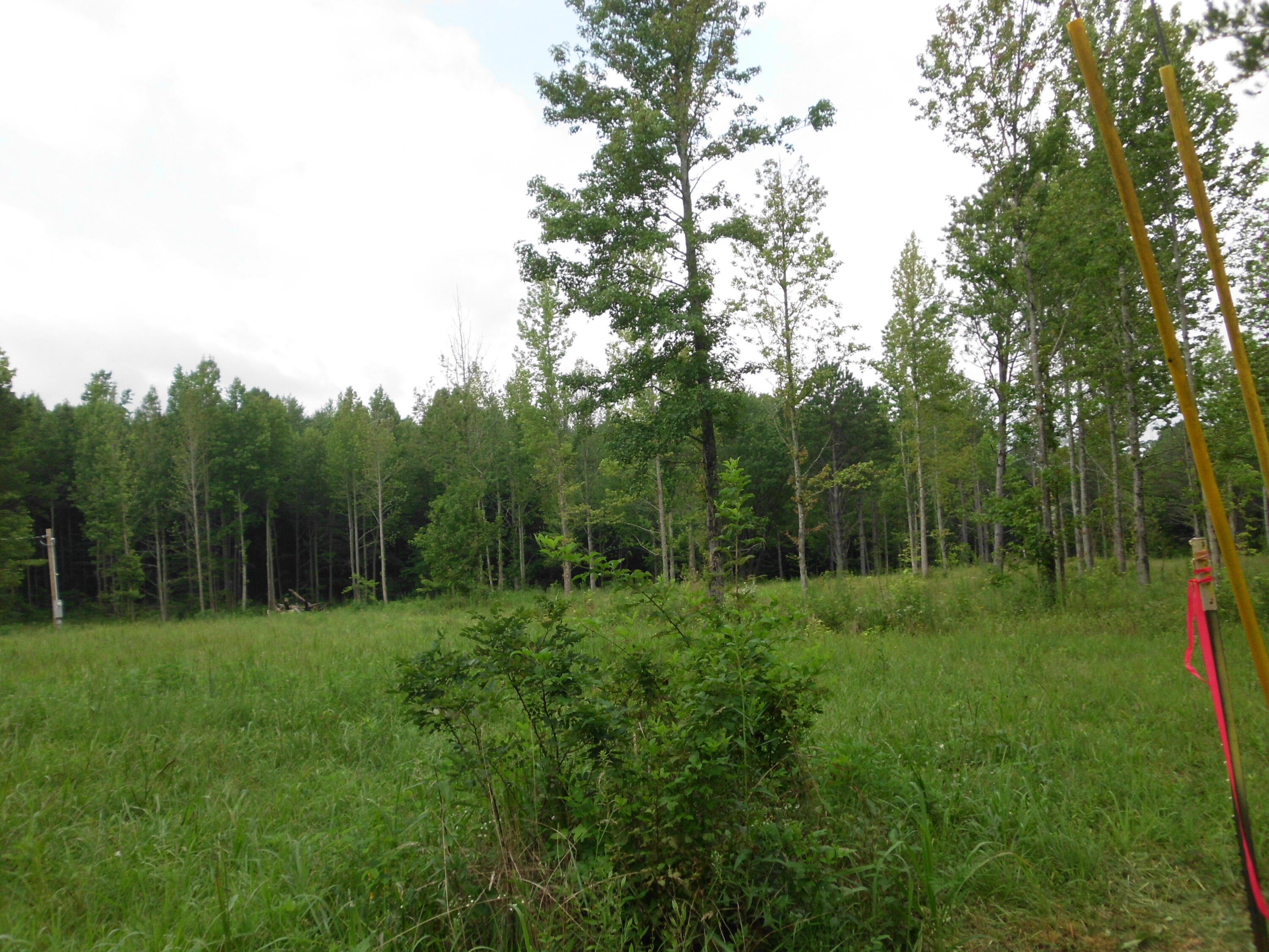 2546 Smithfield Road Tellico Plains, TN 37385 - Photo 16 of 20 SANY0021