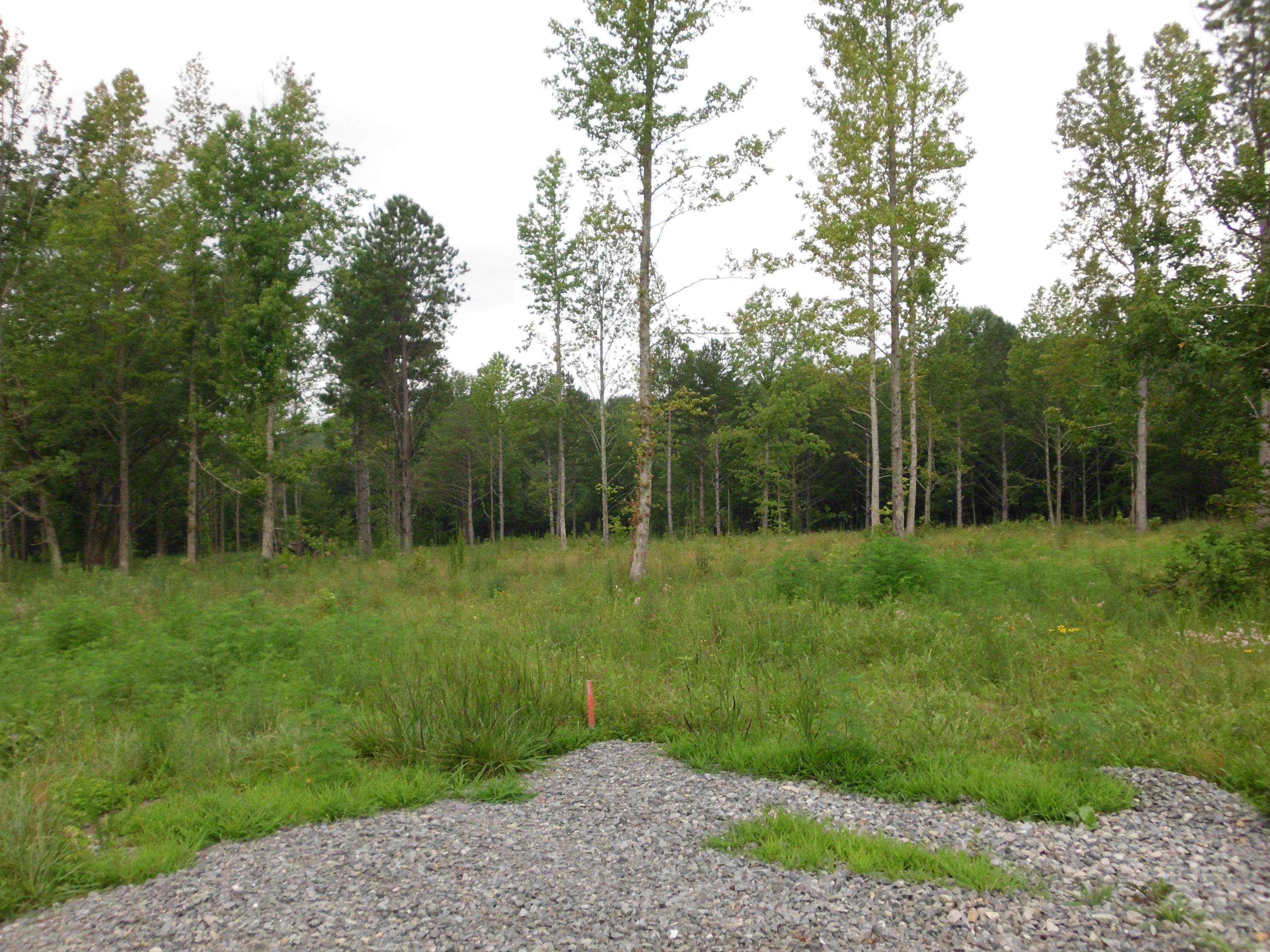 2546 Smithfield Road Tellico Plains, TN 37385 - Photo 5 of 20 SANY0008