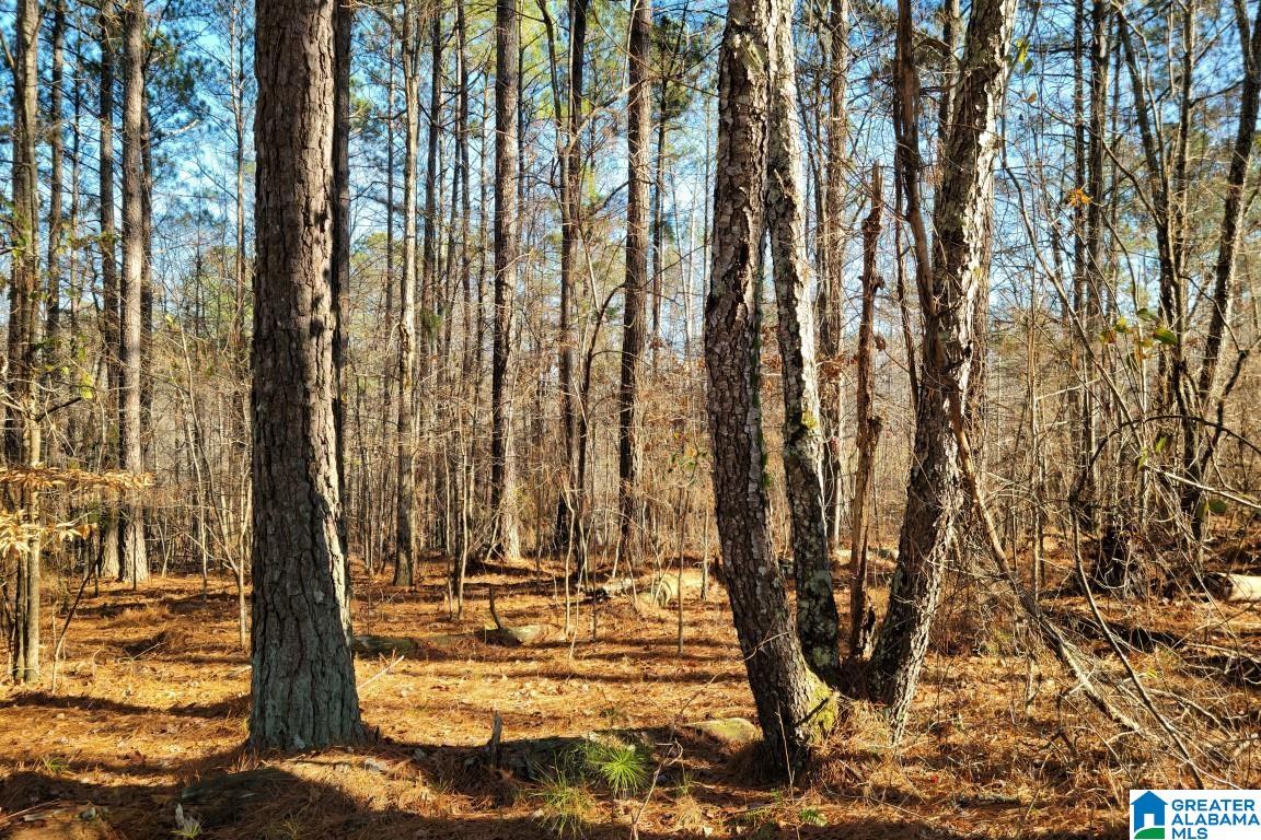 6 County Road, Unit 32 Wedowee, AL 36278 - Photo 4 of 6