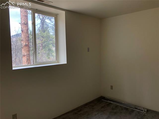 9534 Mountain Road Cascade, CO 80809 - Photo 8 of 23