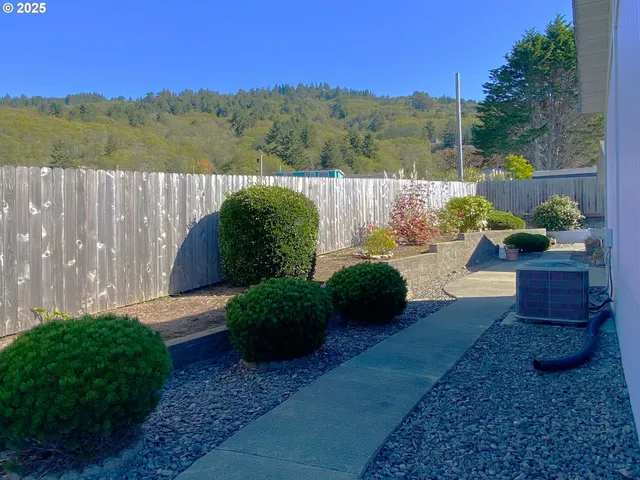 a view of a back yard