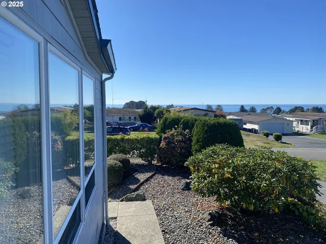 a view of a room with wooden floor and a potted plant