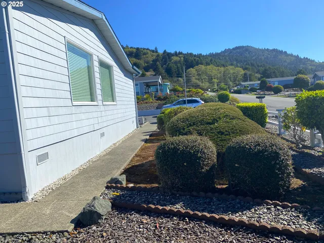 a view of a back yard of the house