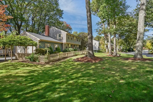 a view of a park with large trees