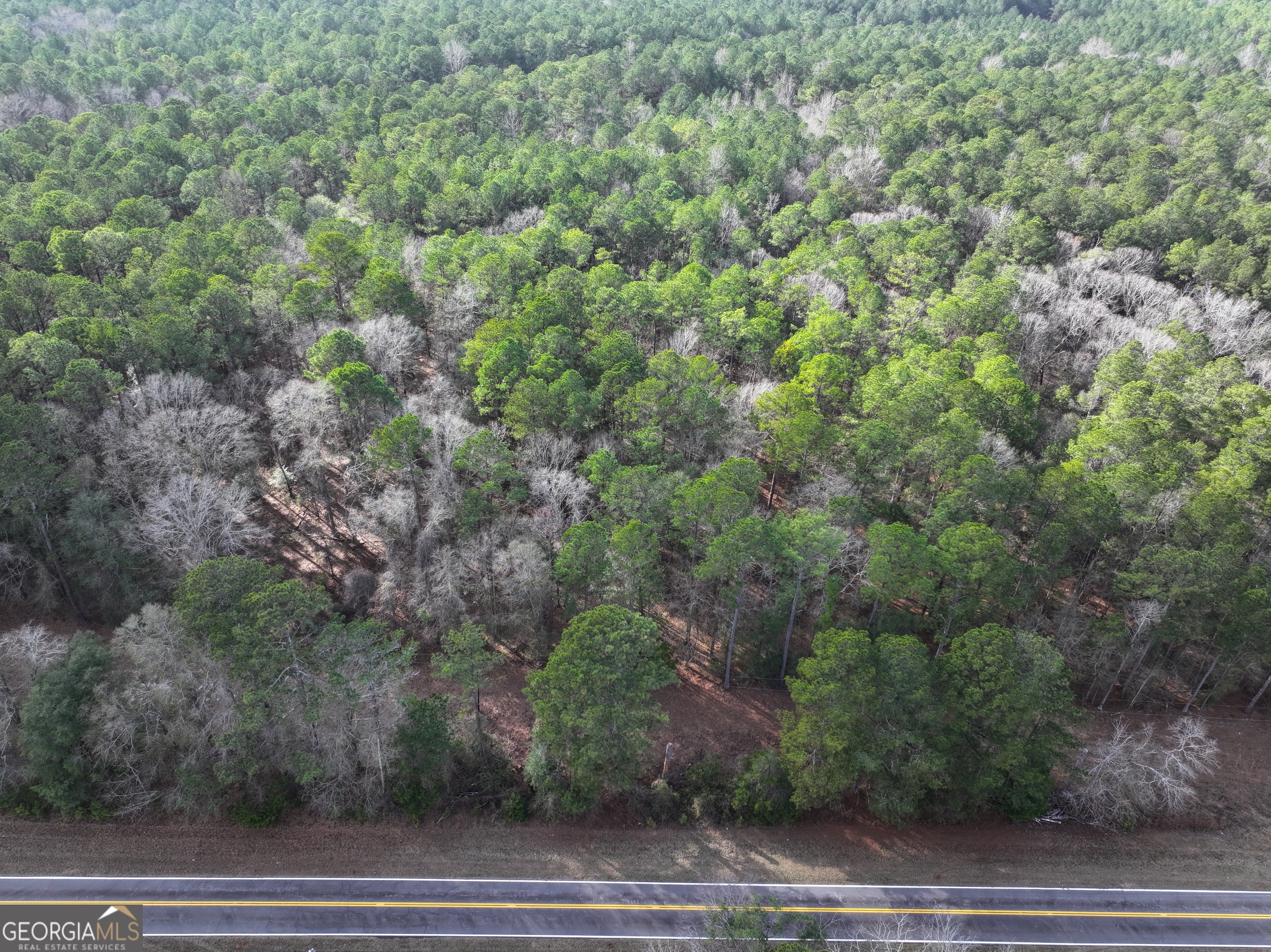 Lot 1 Salem Road Pine Mountain, GA 31822 - Photo 2 of 2