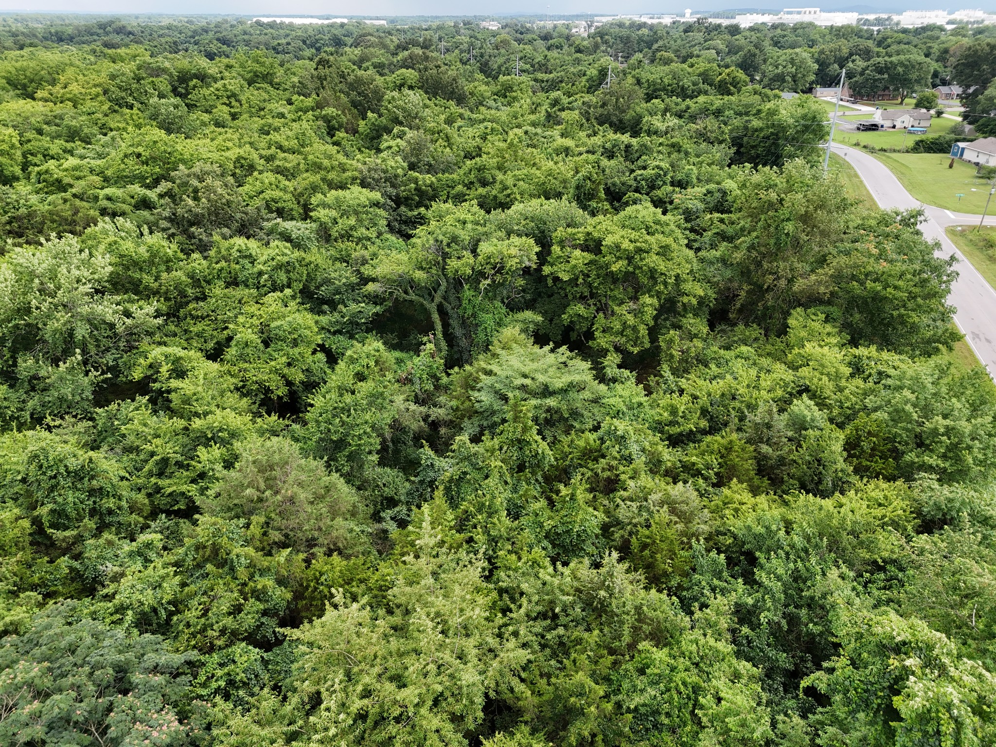 9800 Florence Road Smyrna, TN 37167 - Photo 2 of 5 an aerial view of residential house with outdoor space and trees all around
