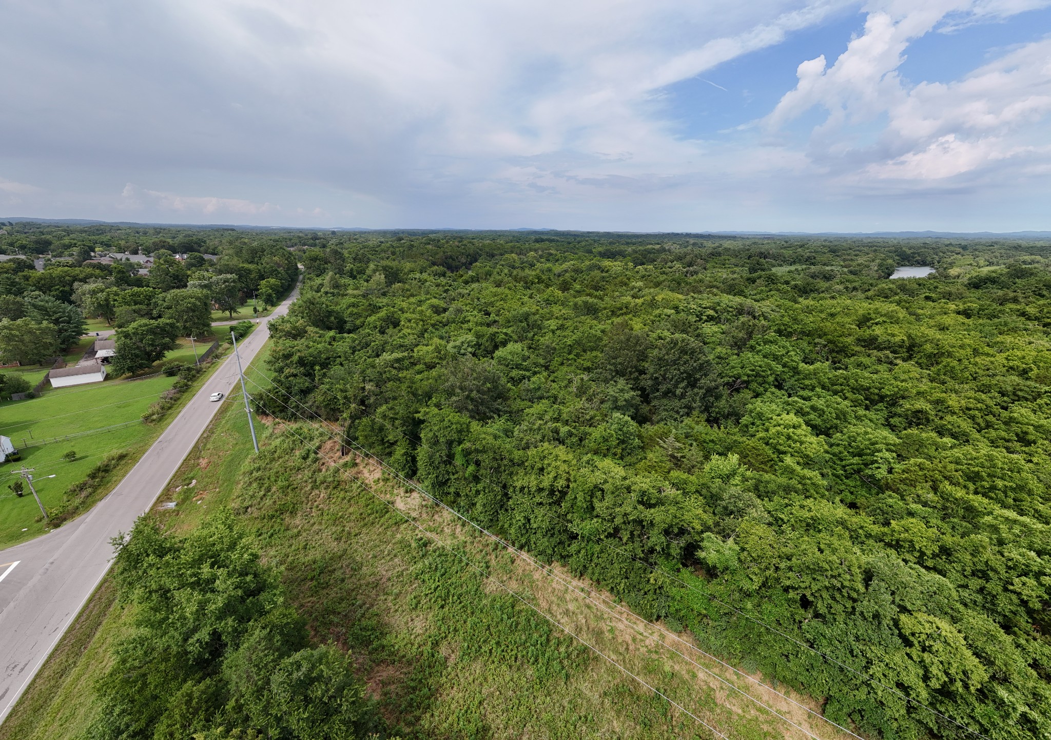 9800 Florence Road Smyrna, TN 37167 - Photo 3 of 5 a view of a yard with an trees