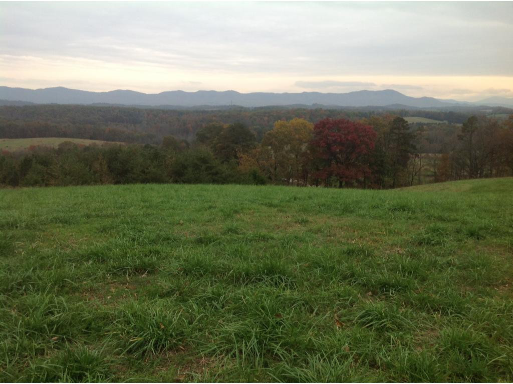 0 Guinn Road Greeneville, TN 37743 - Photo 4 of 8 Photo 4