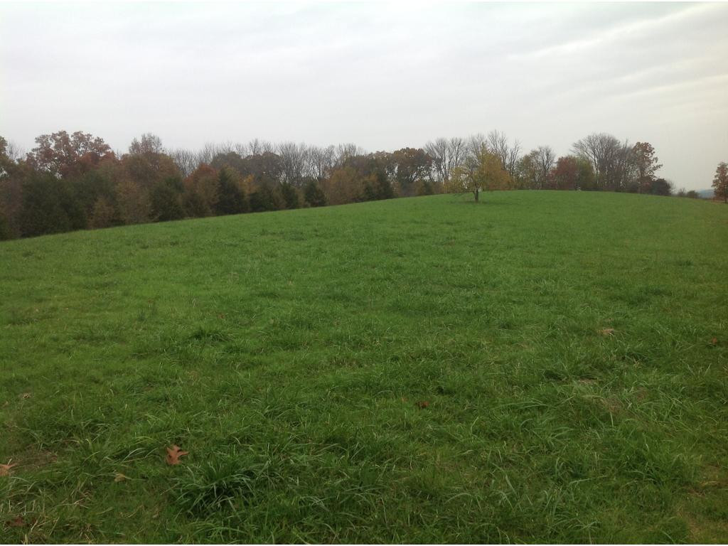 0 Guinn Road Greeneville, TN 37743 - Photo 6 of 8 Photo 6