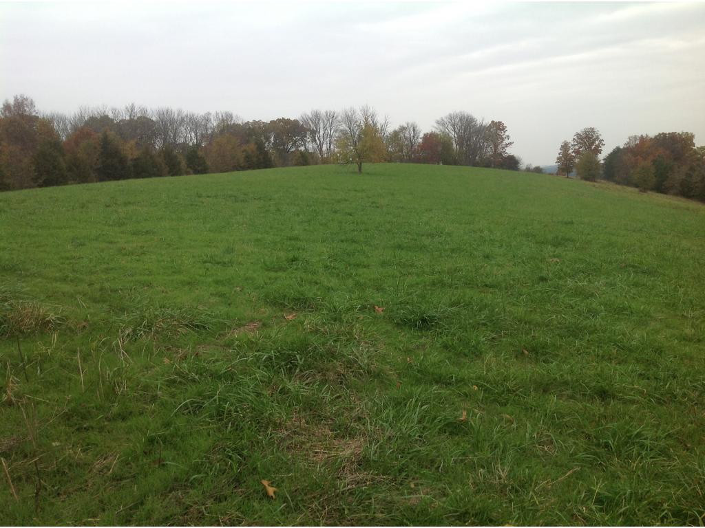 0 Guinn Road Greeneville, TN 37743 - Photo 7 of 8 Photo 7