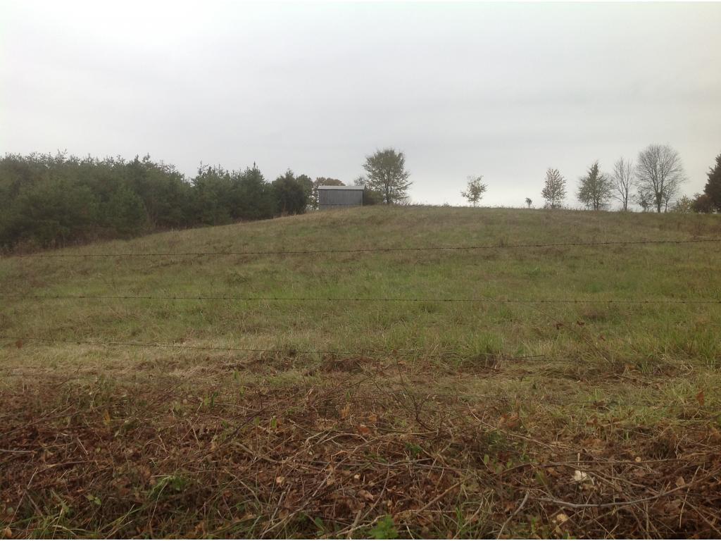 0 Guinn Road Greeneville, TN 37743 - Photo 8 of 8 Photo 8