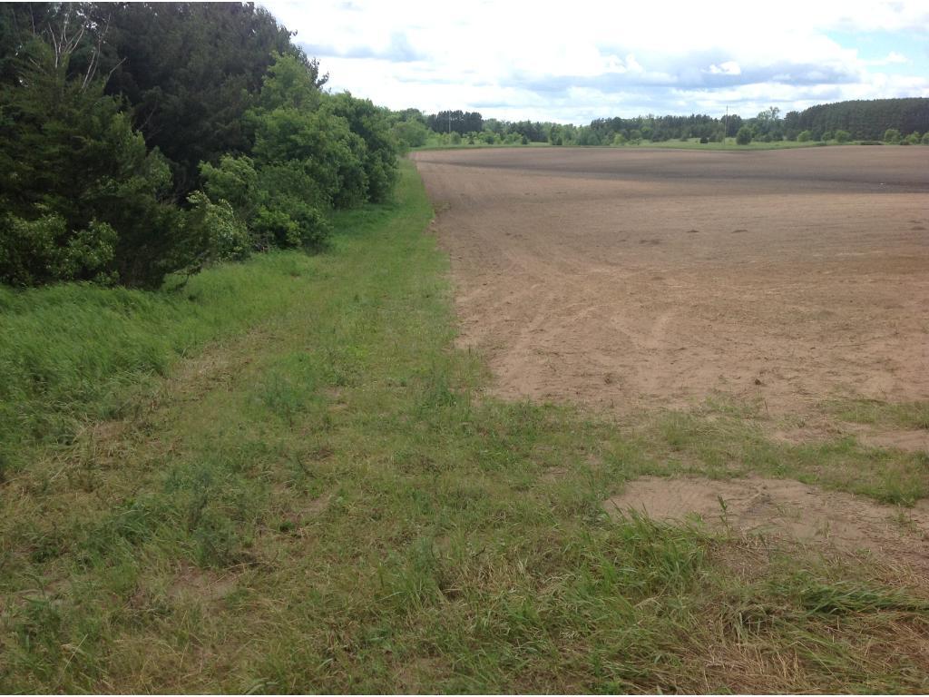 Xxxxx Stark Rd Lane Harris, MN 55032 - Photo 1 of 1 Gallery Image 1