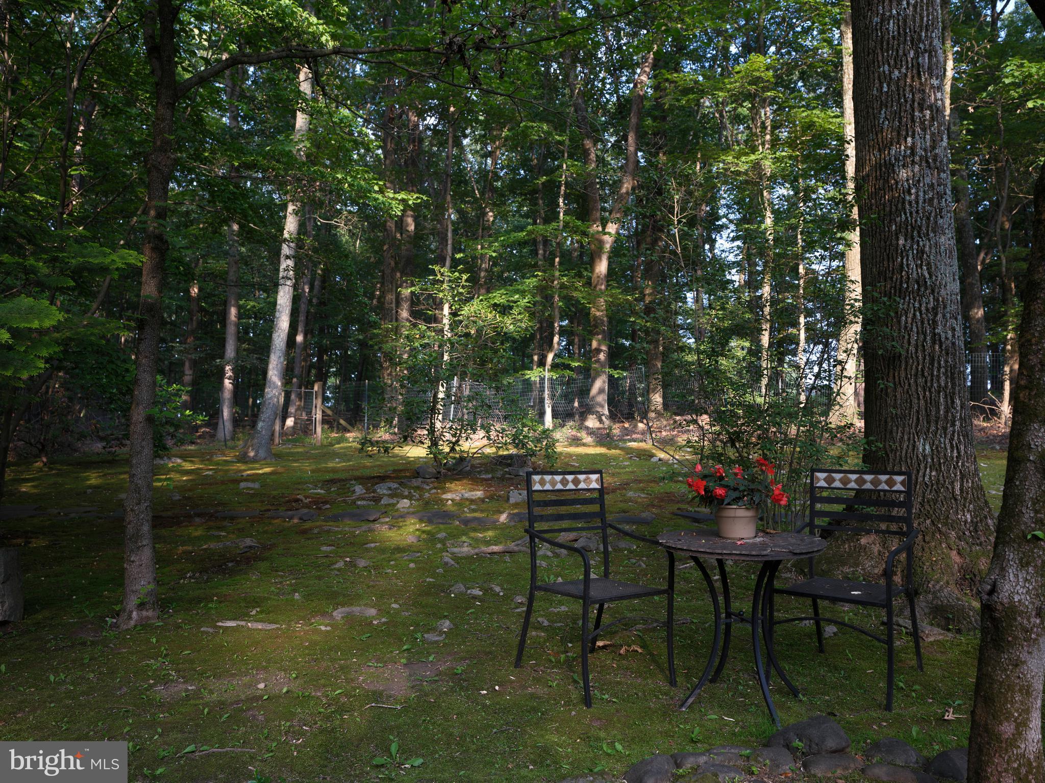 7028 Ely Road New Hope, PA 18938 - Photo 55 of 65 a view of table and chairs in a backyard