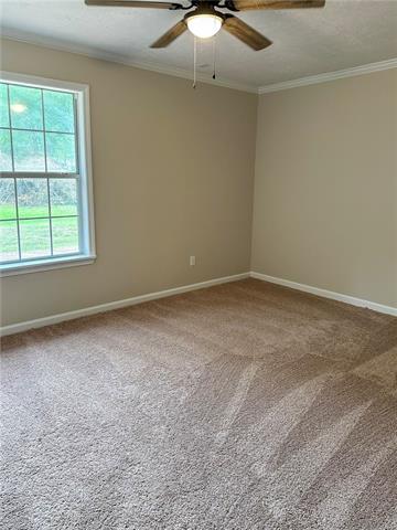 136 Price Pollock, LA 71467 - Photo 15 of 23