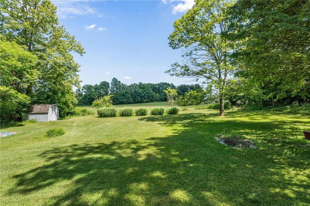 234 Sky Top Road Acme, PA 15610 - Photo 17 of 19 a view of a garden with a tree