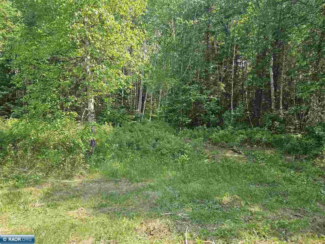 9240 Murray Road Cook, MN 55723 - Photo 10 of 16 Gallery Image 10