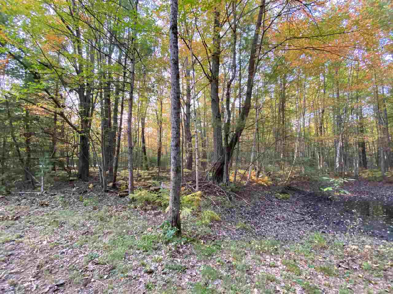 4950 Bensch Road Alger, MI 48610 - Photo 8 of 31 Gallery Image 8