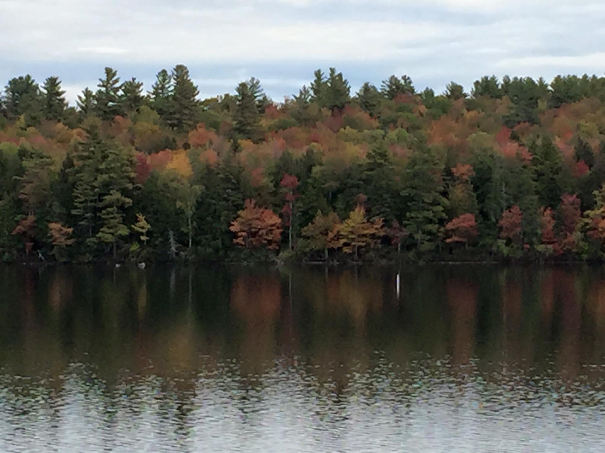 Tbd Island Pond Road Harrison, ME 04040 - Photo 3 of 17 IMG_2171 2