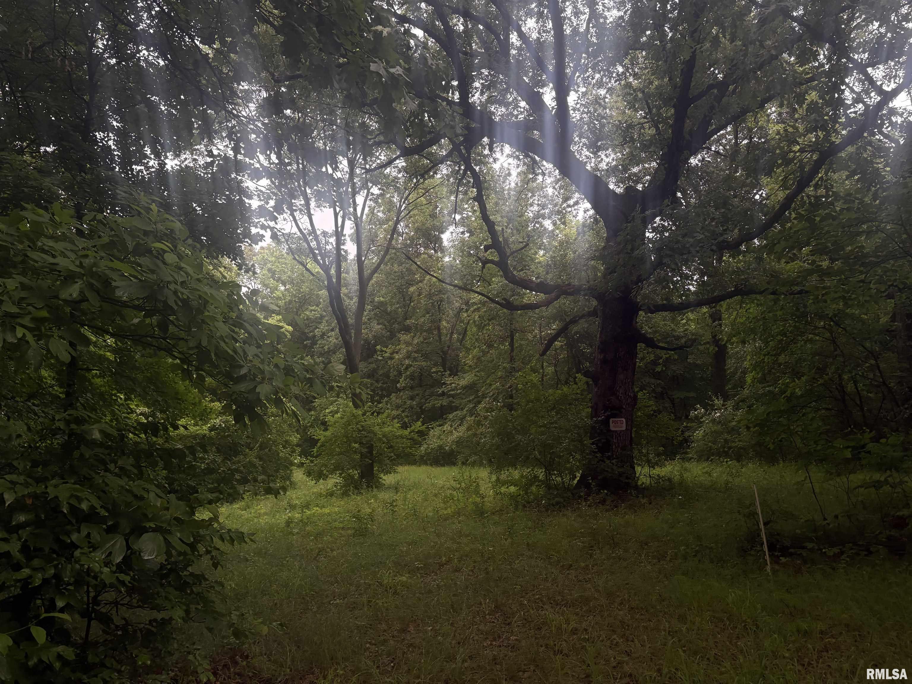 North Ivy Lake Road Chillicothe, IL 61523 - Photo 27 of 27