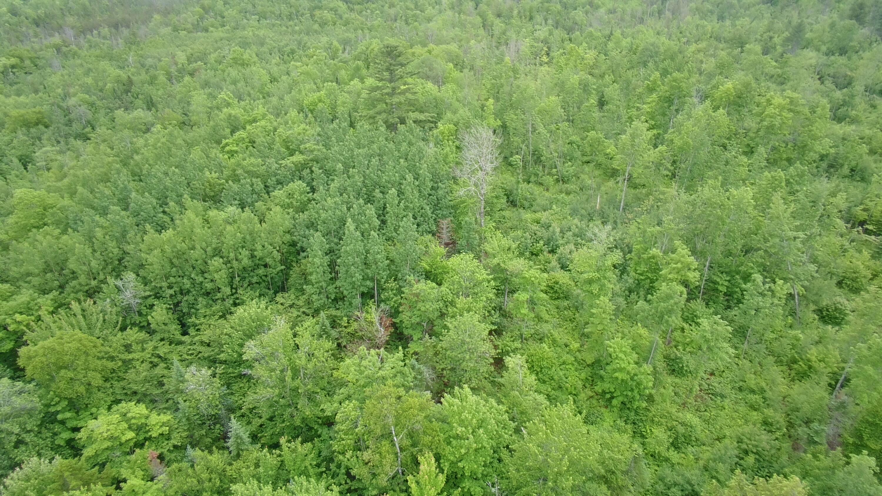 Tbd Trafton Road Parkman, ME 04443 - Photo 21 of 27 4600696_101DRONE_SING0141