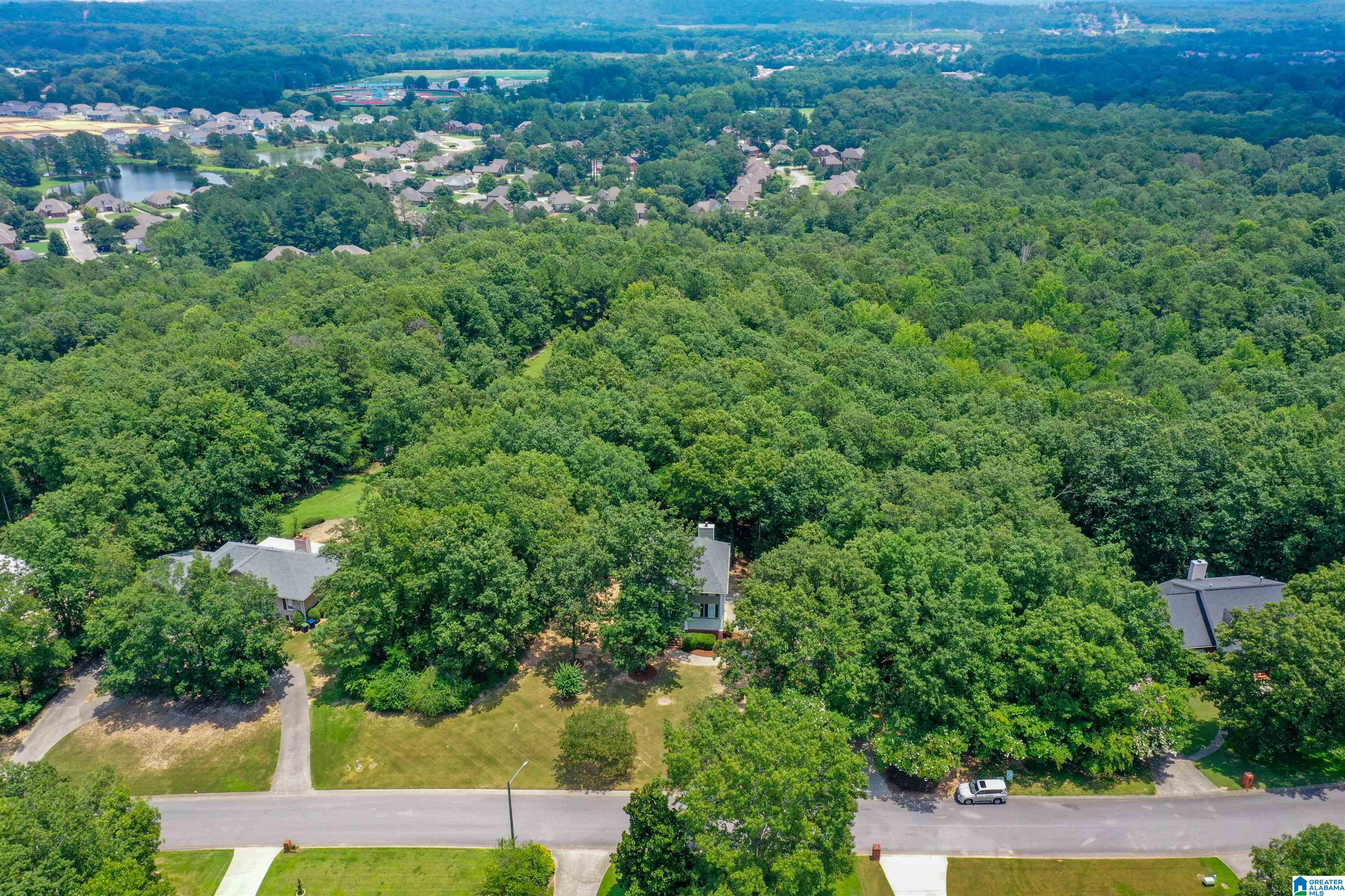 273 Forest Parkway Alabaster, AL 35007 - Photo 63 of 68