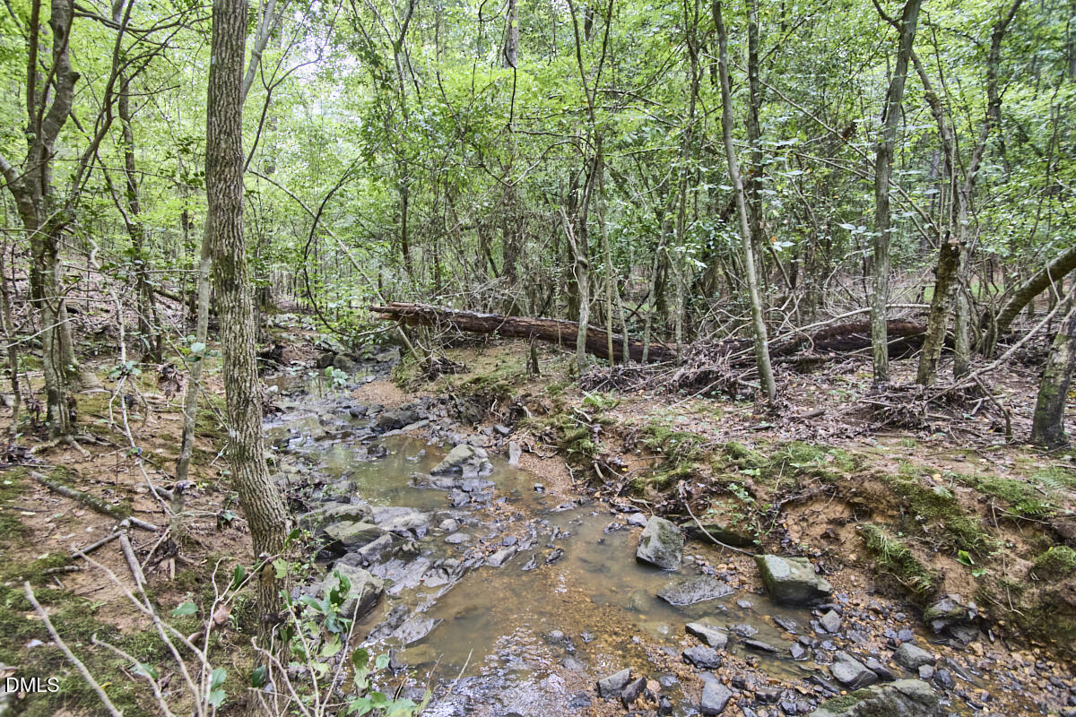 0 Beal Road Robbins, NC 27325 - Photo 5 of 8 003