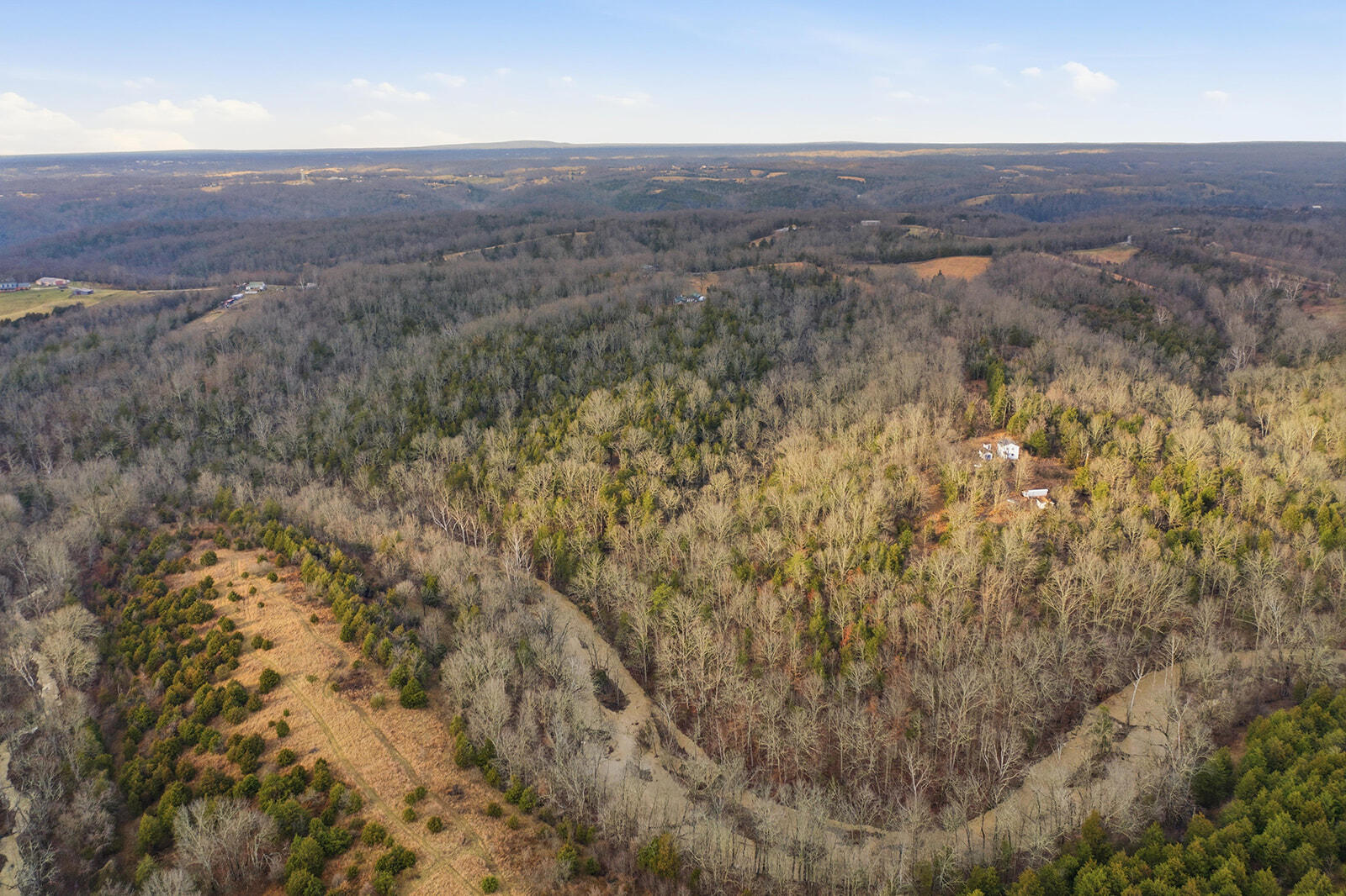 1248 Burke Road Lawrenceburg, KY 40342 - Photo 96 of 108 1248 Burke Rd (107 of 117)