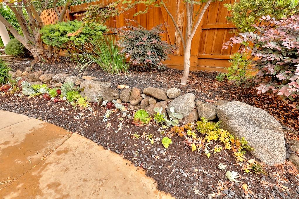 4152 Post Oak Drive Turlock, CA 95382 - Photo 62 of 71 a backyard of a house with lots of green space