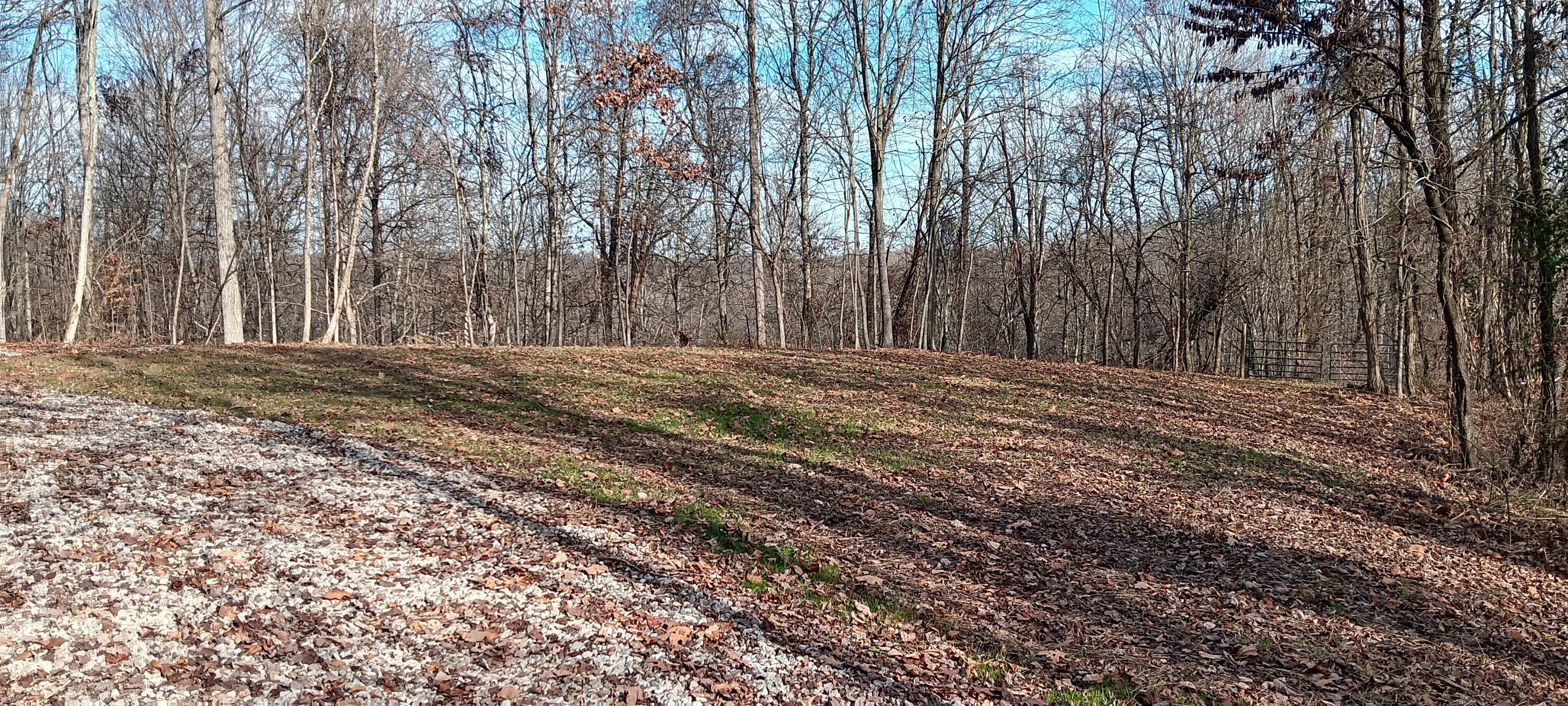 0 Calaway Road, Unit TRACT 1) Coolville, OH 45723 - Photo 19 of 21 20231130_131804