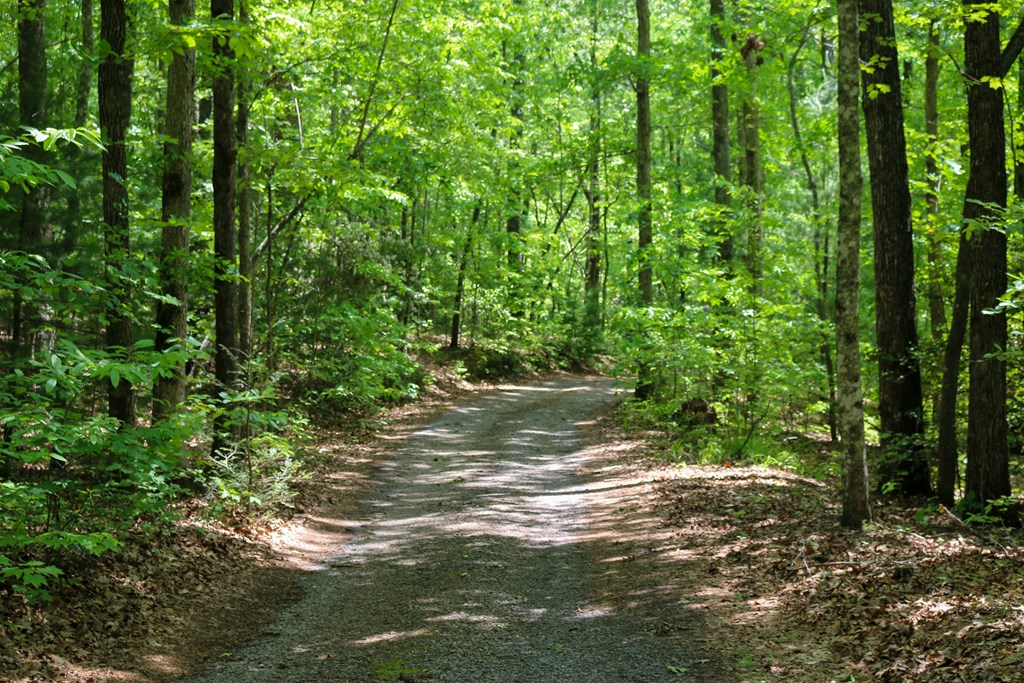 440 Hamby Road Murphy, NC 28906 - Photo 10 of 79 Gallery Image 10