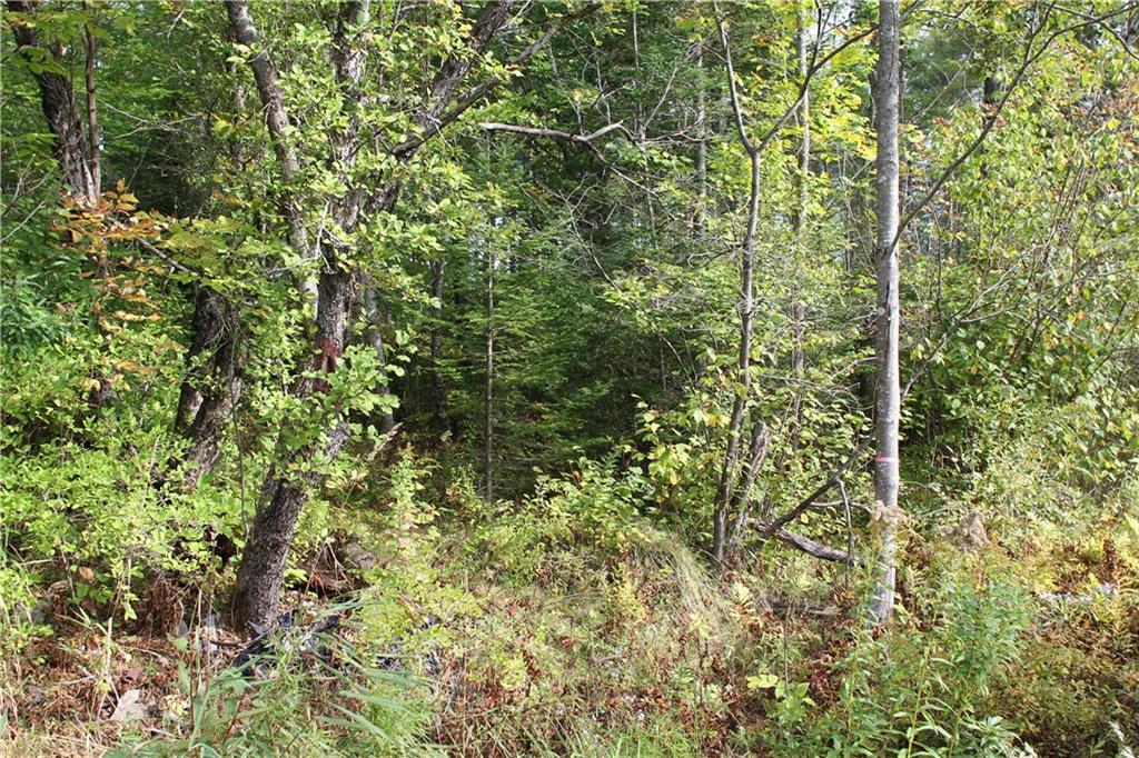 Tbd Kelly Lane Cornville, ME 04976 - Photo 2 of 5 Photo