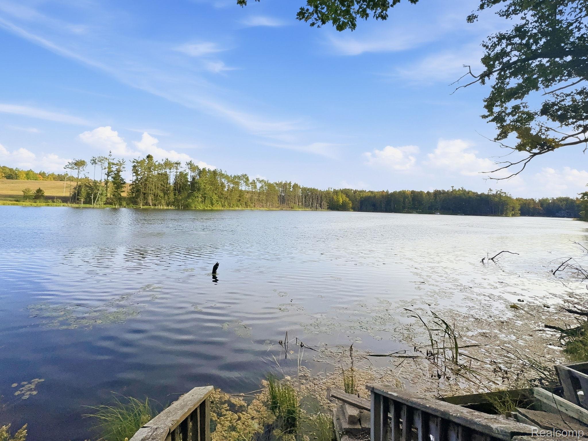2259 Kassuba Road Gaylord, MI 49735 - Photo 45 of 46 Expansive lake frontage with a wooded shoreline, mature trees, and a wooden dock structure