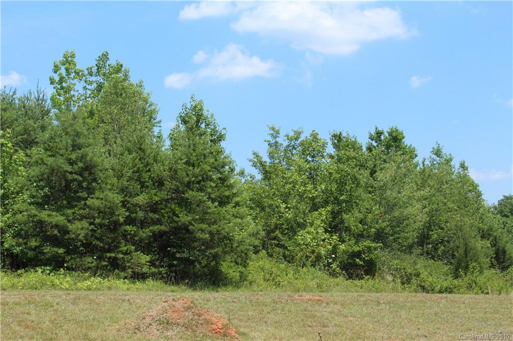 1070 Piedmont Road Rutherfordton, NC 28139 - Photo 6 of 14