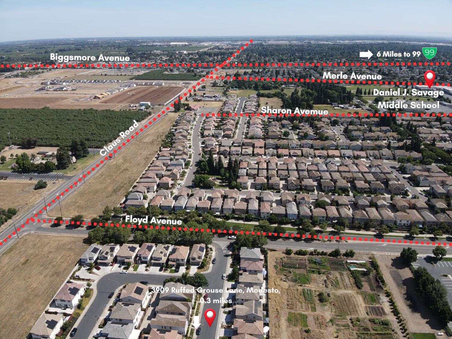 3909 Ruffed Grouse Lane Modesto, CA 95355 - Photo 8 of 80