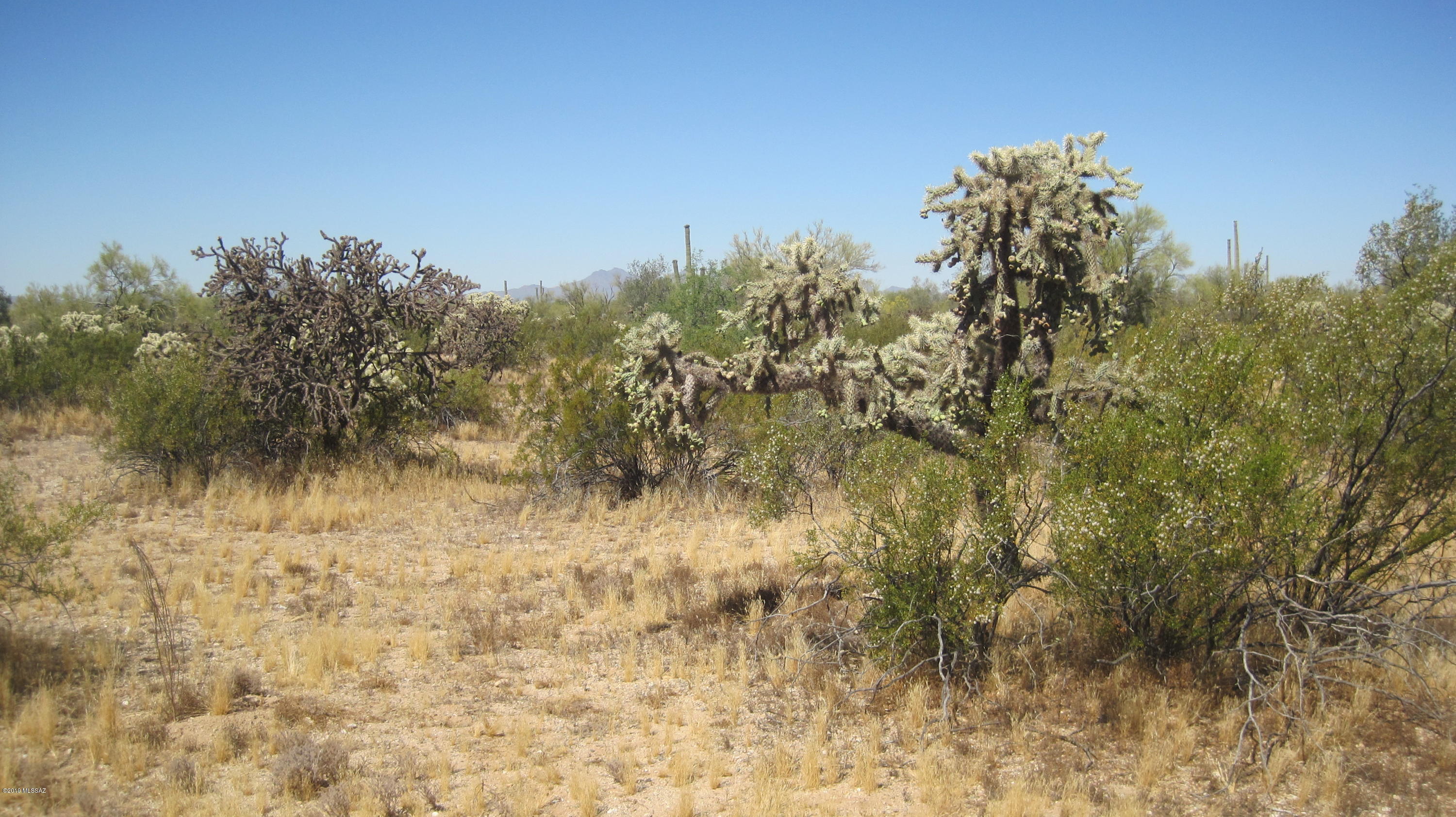 Oo South Cattle Tank Road, Unit 7 5 AC Marana, AZ 85658 - Photo 1 of 22