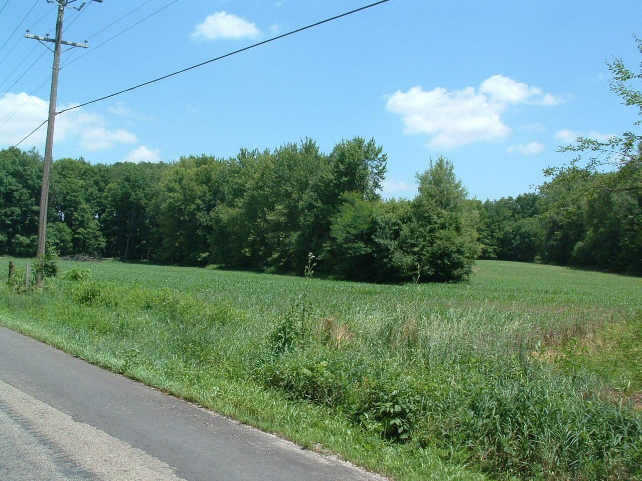 0 Clover Valley Road Northwest Johnstown, OH 43031 - Photo 15 of 16 DSCF0015