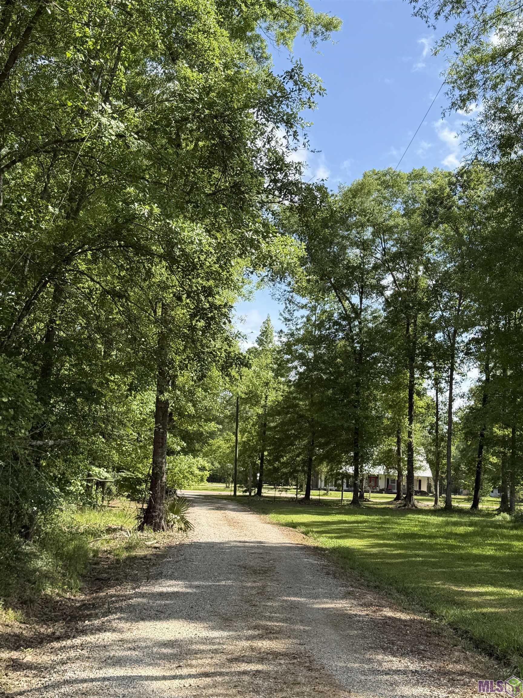 17635 Melancon Road Livingston, LA 70754 - Photo 29 of 40 Gallery Image 29