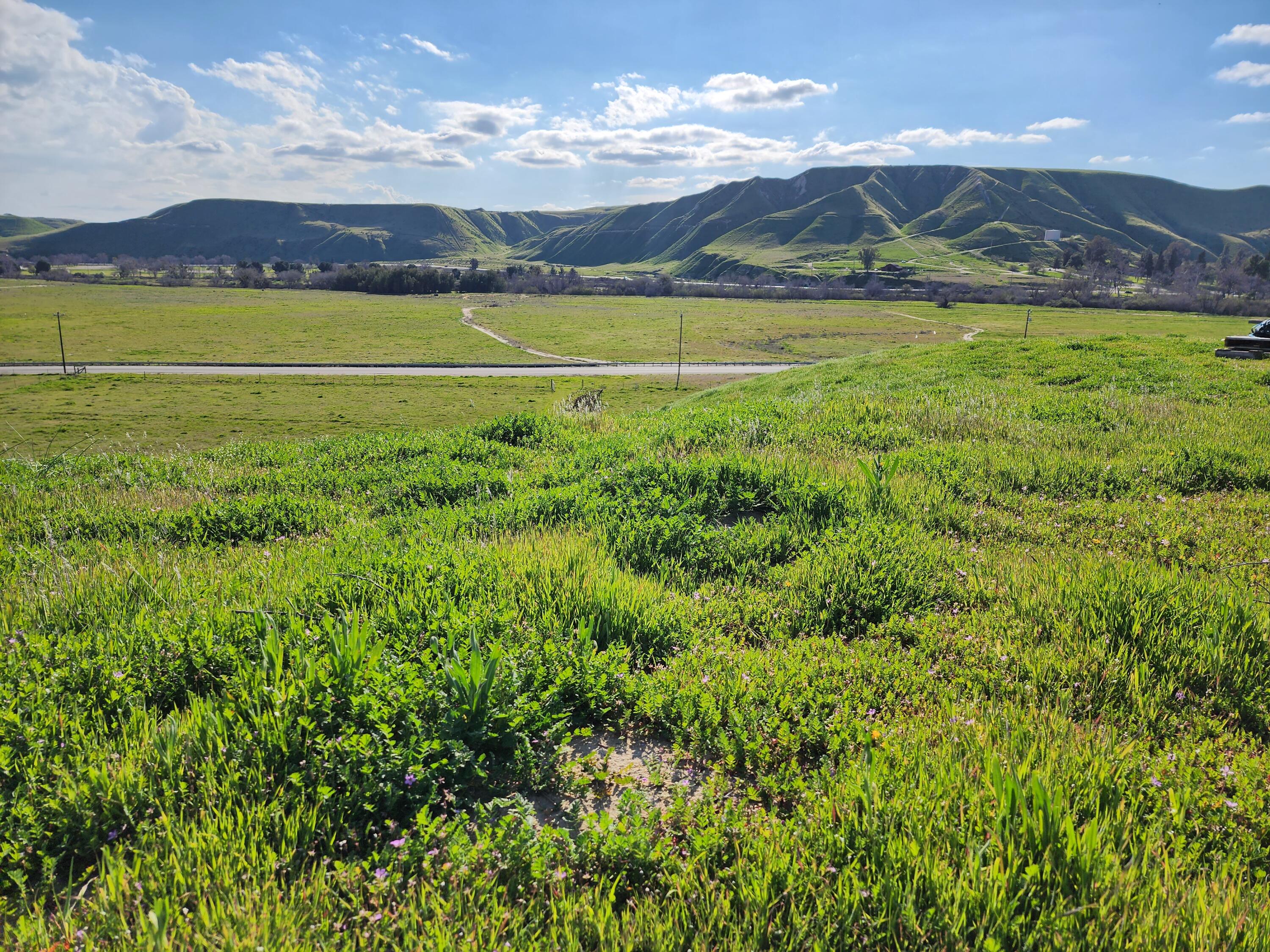 a view of field with mountain view