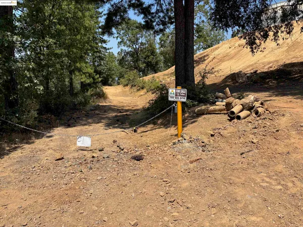 a view of a yard with wooden fence