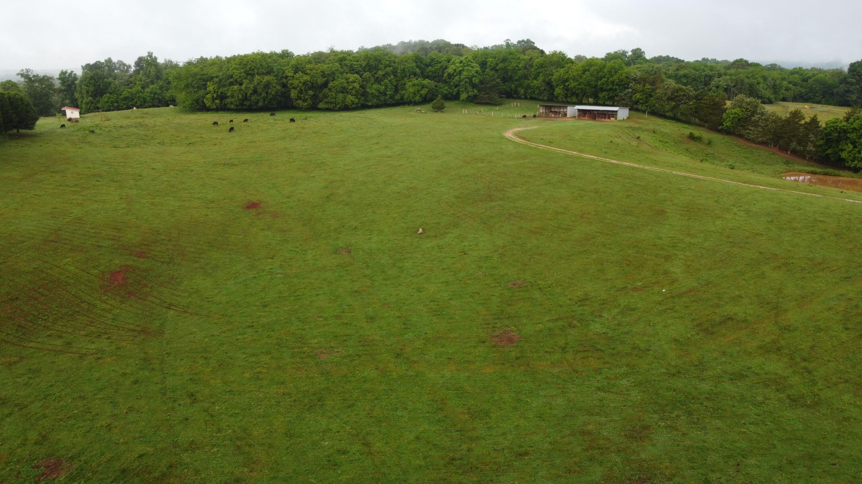 Cliff Top Road Blaine, TN 37709 - Photo 1 of 17 Clifftop 1