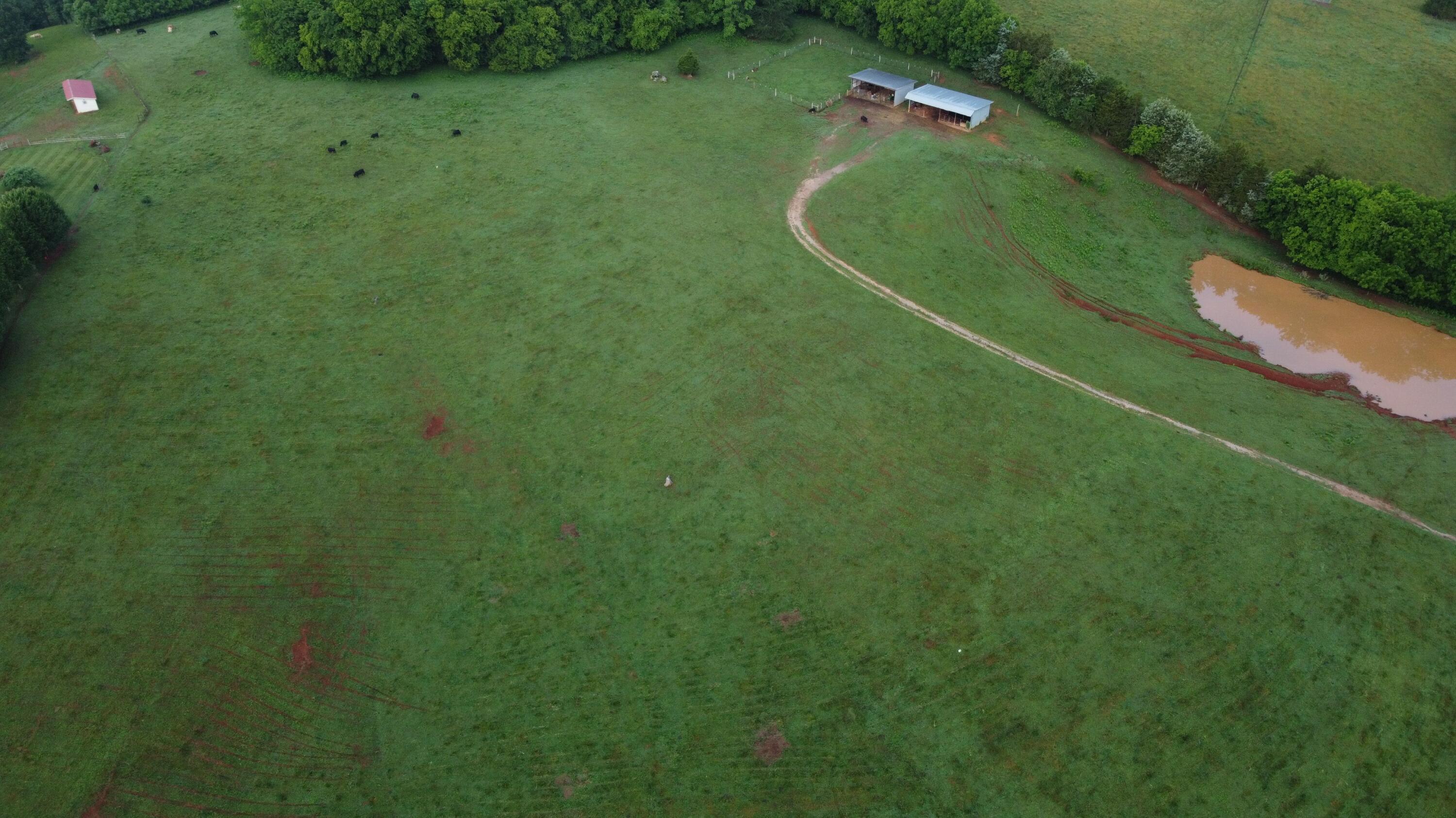Cliff Top Road Blaine, TN 37709 - Photo 2 of 17 Clifftop 2