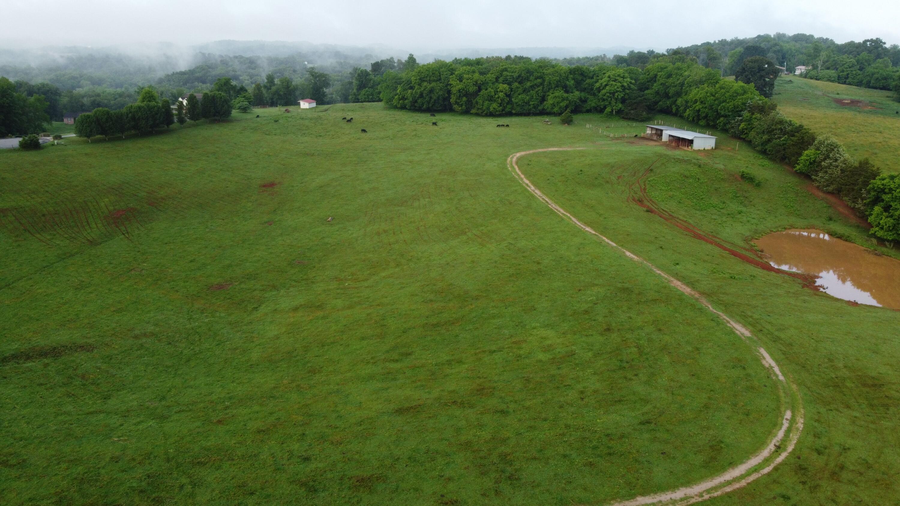 Cliff Top Road Blaine, TN 37709 - Photo 13 of 17 Clifftop 13