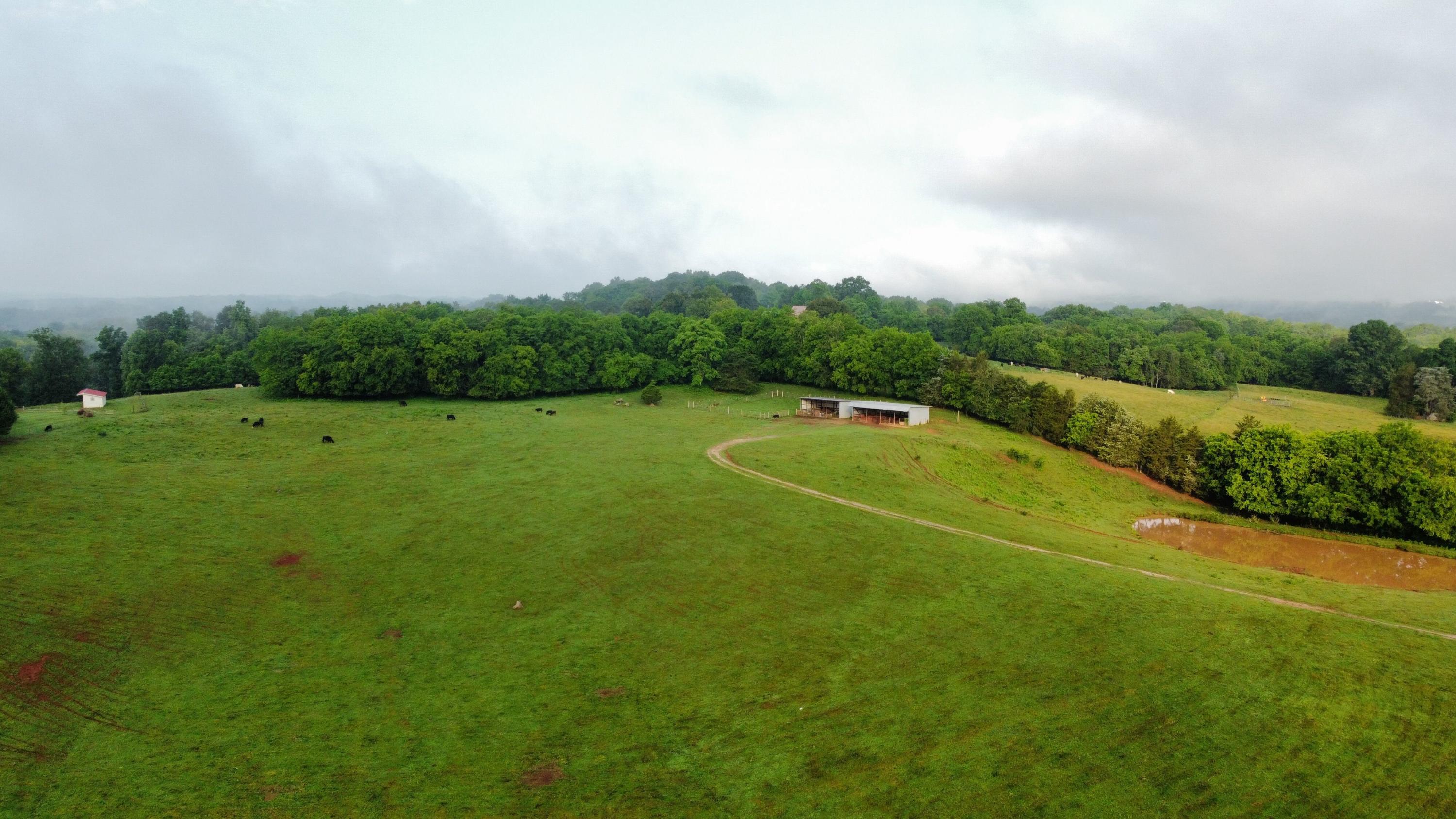 Cliff Top Road Blaine, TN 37709 - Photo 14 of 17 Clifftop 14